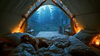 AMAZING‼️ HEAVY RAIN CAMPING 🏕 RELAXING IN COZY TENT WITH RAIN SOUNDS ON ROOF (ASMR)