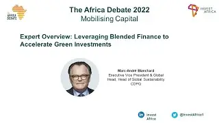 Leveraging Blended Finance to Accelerate Green Investments