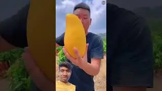 #shorts #ytshorts #agriculture​ट्रेंडिंग: #kisan #indianfarmer #organicfarming #jugaad #