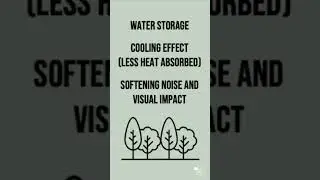 Services from Ecosystems | 60 Second Geography on Ecosystems
