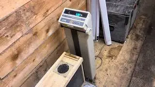 Будущая семья