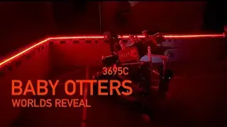 3695C Baby Otters Vex High Stakes Worlds Reveal