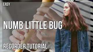 How to play Numb Little Bug by Em Beihold on Recorder (Tutorial)