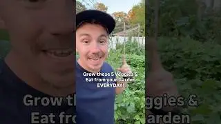 Grow these 5 veggies for an endless harvest spring through fall! ￼