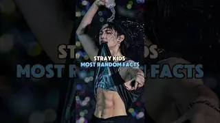 Stray Kids Most Random Facts