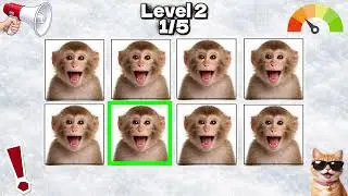 Beat & Words Challenge Part 1 | Insane Levels You Can&rsquo;t Keep Up With
