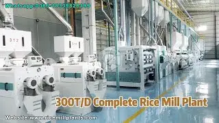 300T/D Modern Rice Processing Plant Supplier-Co-Grain Rice Mill