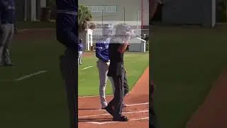 GETS CRAZIER EVERY WATCH 🤯 #Phillies #MLB #MiLB #Baseball