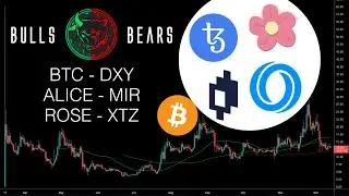 Bulls & Bears Crypto Requests met Bitcoin BTC, ALICE, MIR, ROSE & XTZ Bitvavo Crypto Community NL/BE