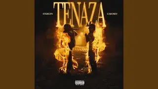 TENAZA