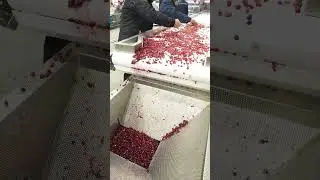 Pomegranate Peeling And Packaging Processing Line
