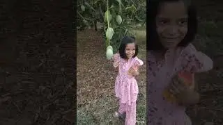 kaccha aam ||Aam ke baag #shorts