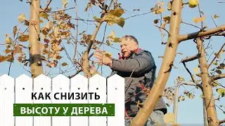 Почему важно обрезать центральный проводник?