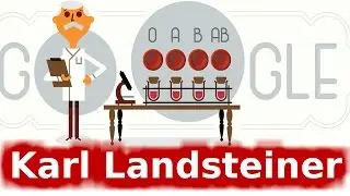 Karl Landsteiner Google Doodle. Karl Landsteiner is the Father of Transfusion Medicine