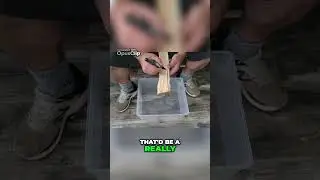 Crafting a Net Needle with Basic Tools