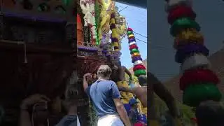 Traversing Traditions: Temple Car Procession in Colombo Streets | Sri Lanka Cultural Heritage