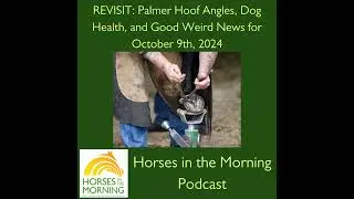 REVISIT: Palmer Hoof Angles, Dog Health, and Good Weird News for October 9th, 2024 by State Line ...