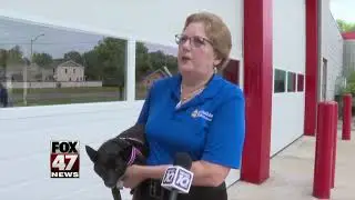 Lansing receives pet oxygen masks for each fire department