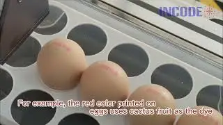 INCODE Special Ink - Food grade red ink. Can print on Eggs directly, other colors available also.
