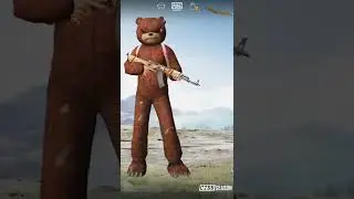 Wandering Tyrant-AKM(level skin)