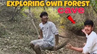 Exploring My Own Forest in :- 🇮🇳 India