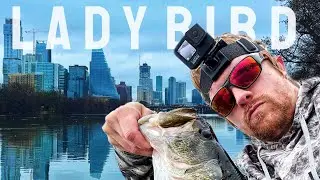 There Are So Many BIG FISH In This Small Urban Lake || ATX Fishing