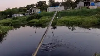 Summer Fatigue Hanging On, Fishing For Whatever