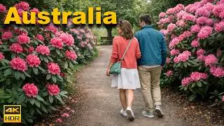 Sydney Australia Walking Tour - Secret Rhododendron Gardens and Lookouts | 4K HDR