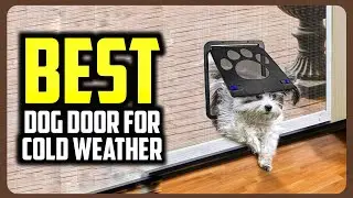 ☑️ Top 5 Best Dog Door For Cold Weather of 2025 : Who wins in 2025 ?..😍✨