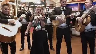 Mariachi Houston Latin 