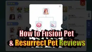 Ragnarok M Eternal Love How to Fusion Pet & Resurrect Pet Reviews