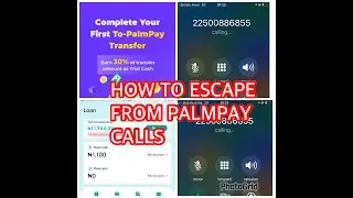 How to bypass palmpay calls