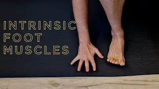 Intrinsic foot muscles training