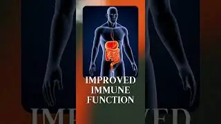 The Benefits of Taking a Multivitamin #health #multivitamin #healthsupplements #science #bvitamins