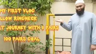 My First Vlog (Yellow Ringneck Setup).Yellow Ringneck setup view | Episode 1