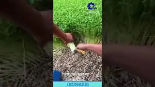 This simple tool makes planting so satisfying! 😮 #GardenLife