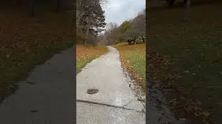 Duncan Creek Park 2025 Part 1