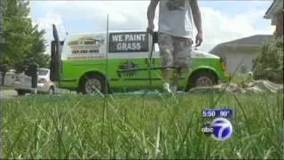 Lawn Smart USA Lawn Painting on ABC 7 News with Charly Koerkel