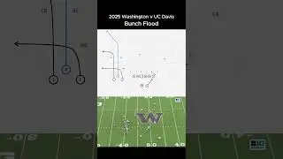 Demond Williams Jr. airs it out to Raiden Vines-Bright on bunch flood 2025 Washington v UC Davis 🌊