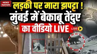 Leopard Attack in Mumbai Live: Mira Bhayandar में तेंदुए का आतंक | Mumbai Leopard LIVE | Maharashtra