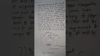 fish breeding in natural conditions bundh breeding hypophysation and stripping