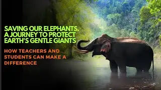 Saving Our Elephants. A Journey To Protect Earth's Gentle Giants (with graded worksheets)