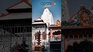 🌾Nuakhai Short WhatsApp Status🌾🙏&hearts;️#sambalpuri#nuakhai#new#short#status🌾🙏 Happy Nuakhai Comming Soon