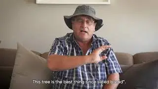Terravusa | 2021 | Riaan's personal journey with Prosopis