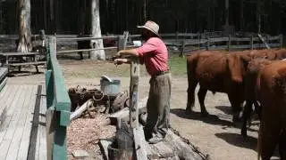 TimberTown Heritage Village