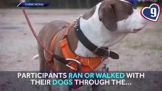9 Loves: UNH 5K Puprun raises money for NHSPCA