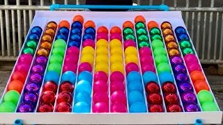 Ultimate Brain Twist Challenge 🧠🔄