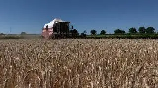 Moisson saison 2020 ✅🔝🚜