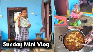 Best Moments From Sunday Mini Vlogs!