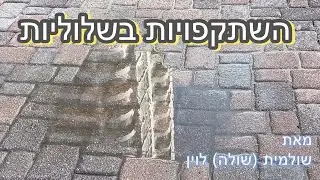 השתקפויות בשלוליות בגבעת אולגה - שולמית לוין